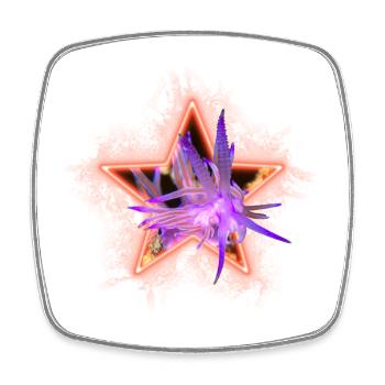 Flabellina at Stern - Square fridge magnet - white - Front