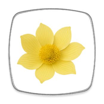 Fleur jaune aux pétales doux - Magnet carré - blanc - Devant