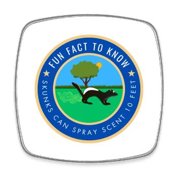 Skunks can spray scent 10 feet - Square fridge magnet - white - Front