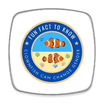 Clownfish can change gender - Square fridge magnet - white - Front