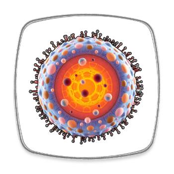 Noyau cellulaire néon : Art biotechnologique - Magnet carré - blanc - Devant