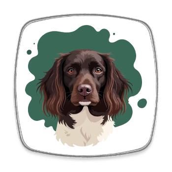 Petit Münsterlander sur fond vert - Magnet carré - blanc - Devant
