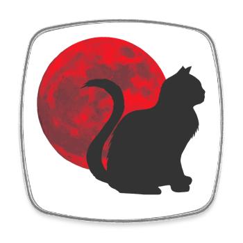 katzen design, monde - Viereckiger Kühlschrankmagnet - Weiß - Vorne