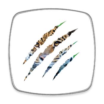 Wild Instinct – Tiger Eyes Through the Claw - Square fridge magnet - white - Front