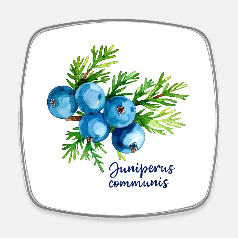 Juniperus communis - illustration botanique - Magnet carré - blanc