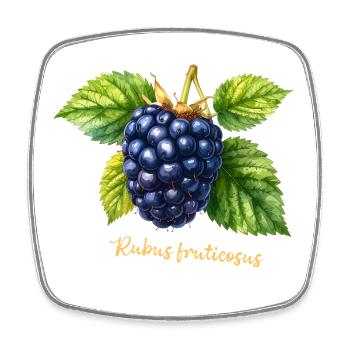 Brombeere – Botanisches Aquarell im Vintage-Stil - Viereckiger Kühlschrankmagnet - Weiß - Vorne