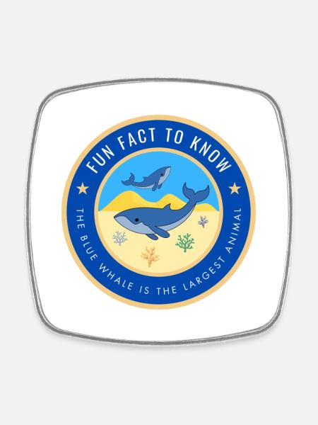 The blue whale is the largest animal - Square fridge magnet - white