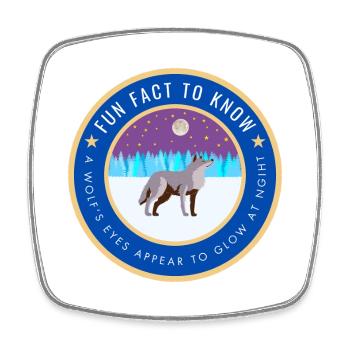 A wolf's eyes appear to glow at night - Square fridge magnet - white - Front