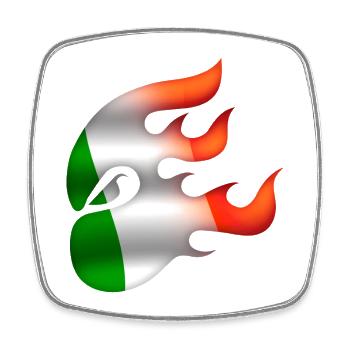 Flagge von Irland - Irland - Ninja - Viereckiger Kühlschrankmagnet - Weiß - Vorne