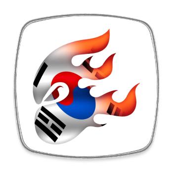 Koreanische Flagge - Korea - Ninja - Viereckiger Kühlschrankmagnet - Weiß - Vorne