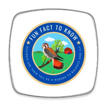 Kestrel fact - Square fridge magnet - white - Front