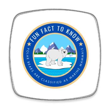 Polar Bears are classified as marine mammals - Square fridge magnet - white - Front
