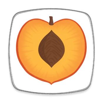 Vibrant Peach with Seed Detail - Square fridge magnet - white - Front