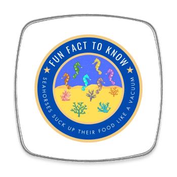 Seahorses suck up their food like a vacuum - Square fridge magnet - white - Front