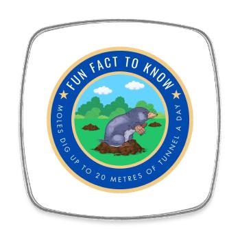 Moles dig up to 20 Metres of tunnel a day - Square fridge magnet - white - Front