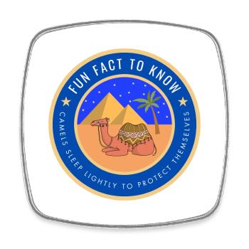 Desert Camel Fact - Square fridge magnet - white - Front