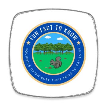 Fun Squirrel Fact - Square fridge magnet - white - Front