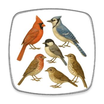 Collection d'Oiseaux Naturel - Magnet carré - blanc - Devant