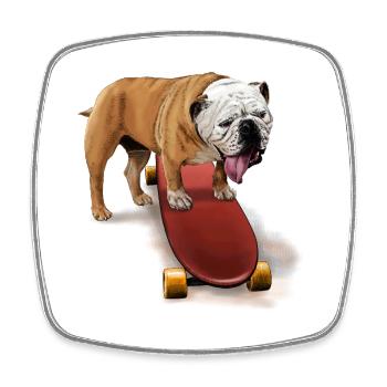 Un bouledogue mignon sur un skateboard - Magnet carré - blanc - Devant