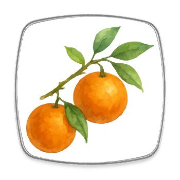 Orangenzweig mit reifen Früchten - Viereckiger Kühlschrankmagnet - Weiß - Vorne