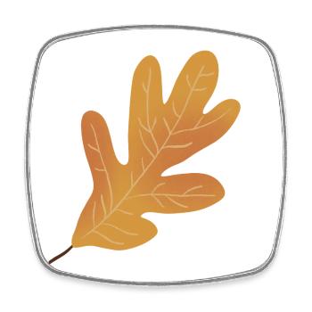 Autumn Oak Leaf Illustration - Square fridge magnet - white - Front
