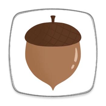 Acorn Illustration - Square fridge magnet - white - Front