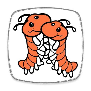 2 caterpillars cute two friends dear couple in love - Square fridge magnet - white - Front
