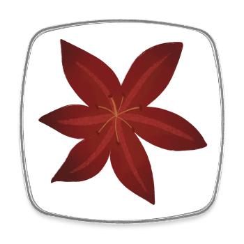 Elegant Red Lily Blossom Design - Square fridge magnet - white - Front