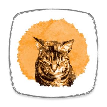 Funny cat portrait with warm orange - Square fridge magnet - white - Front