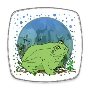 Frog - Square fridge magnet - white - Front