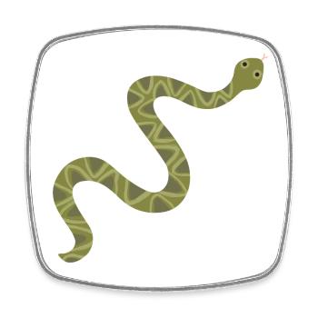 Vibrant Green Snake Illustration - Square fridge magnet - white - Front