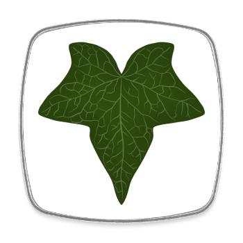 Élégant motif de feuille de lierre vert - Magnet carré - blanc - Devant