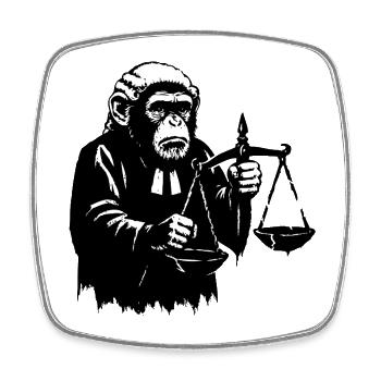 Monkey judge pulls scales down - Square fridge magnet - white - Front