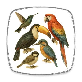 Illustration colorée d'oiseaux exotiques - Magnet carré - blanc - Devant