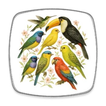 Collection of Colorful and Manchu Parrots - Square fridge magnet - white - Front