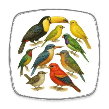 Série d'oiseaux colorés en aquarelle - Magnet carré - blanc - Devant