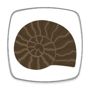 Elegantes Ammonit Fossil Muster Design - Viereckiger Kühlschrankmagnet - Weiß - Vorne
