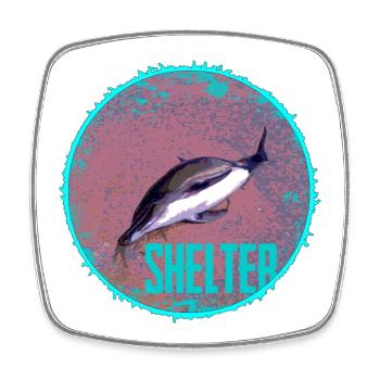 Cercle de l’abri des dauphins - Magnet carré - blanc - Devant
