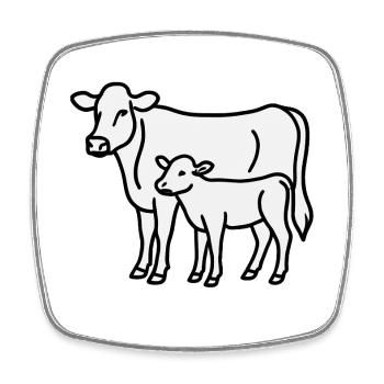 Kuh und Kalb – Minimalistische Linienkunst lineart - Viereckiger Kühlschrankmagnet - Weiß - Vorne
