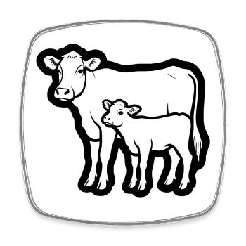 Kuh und Kalb – Zeitloses Linienmotiv; lineart - Viereckiger Kühlschrankmagnet - Weiß - Vorne