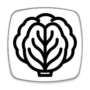 cabbage - Square fridge magnet - white - Front