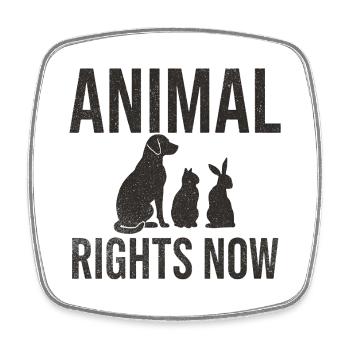 Animal Rights Now Conception typographique - Magnet carré - blanc - Devant
