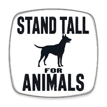 Stand Tall for Animals Dog Silhouette - Square fridge magnet - white - Front