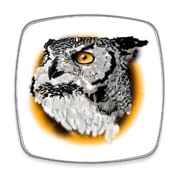 Night Owl Portrait - Square fridge magnet - white - Front