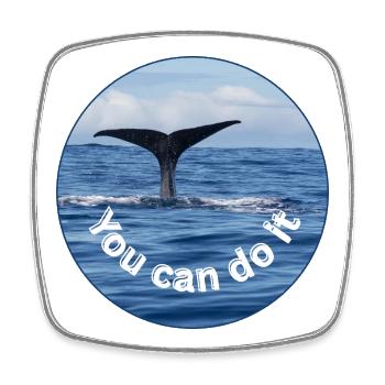 Vous pouvez le faire - Wale Motivation - Magnet carré - blanc - Devant