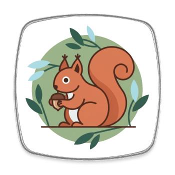 Squirrel - Square fridge magnet - white - Front