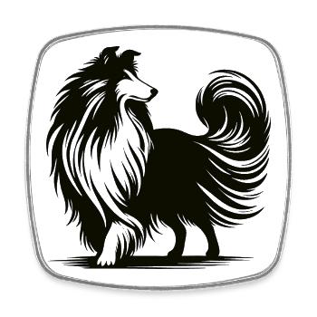 Cooles Collie Silhouetten Design - Viereckiger Kühlschrankmagnet - Weiß - Vorne