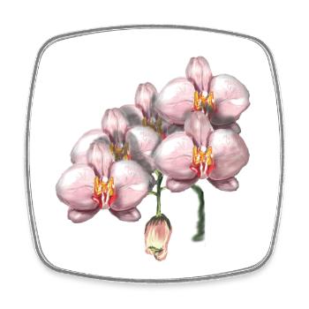 Pink Orchid Blossoms Illustration - Square fridge magnet - white - Front