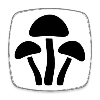 Pilze Symbol - Viereckiger Kühlschrankmagnet - Weiß - Vorne