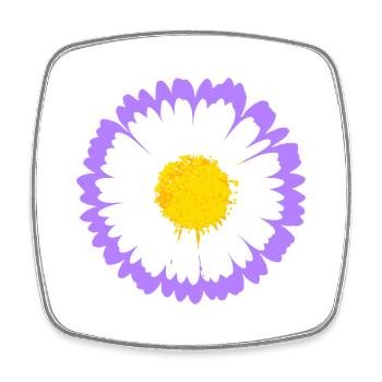 Lila Daisy Bloom mit gelbem Kern - Viereckiger Kühlschrankmagnet - Weiß - Vorne